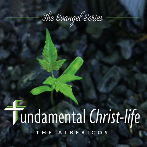 Fundamental Christ-life