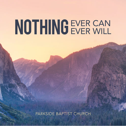 Nothing Ever Can, Nothing Ever Will